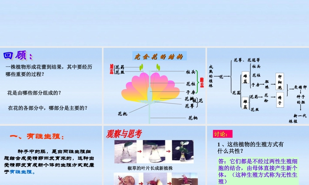 八年级生物下册 植物的生殖1课件 人教新课标版 课件