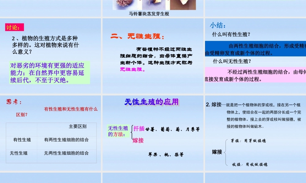 八年级生物下册 植物的生殖1课件 人教新课标版 课件