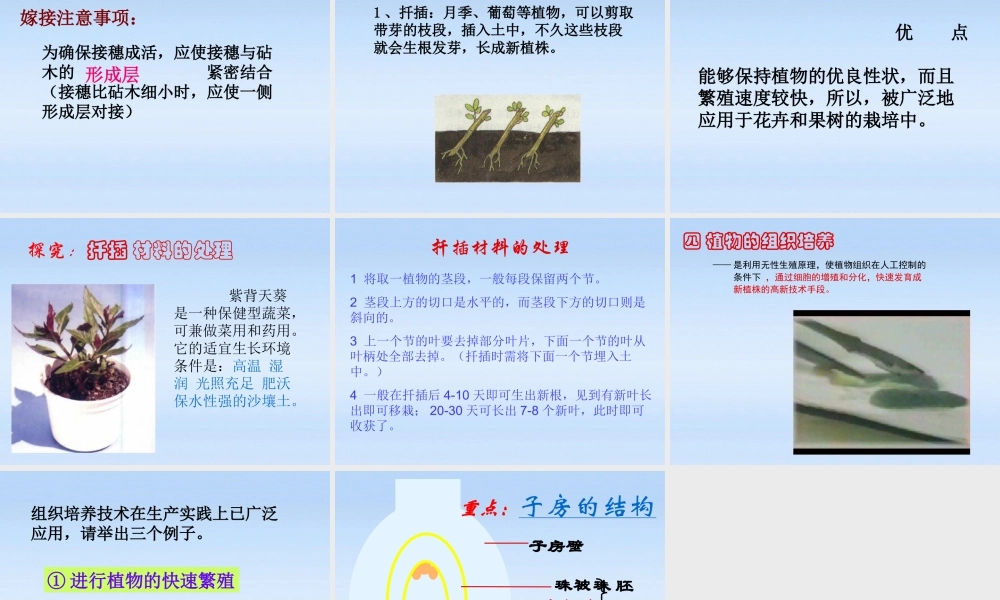 八年级生物下册 植物的生殖1课件 人教新课标版 课件
