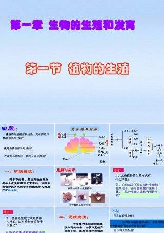 八年级生物下册 植物的生殖1课件 人教新课标版 课件