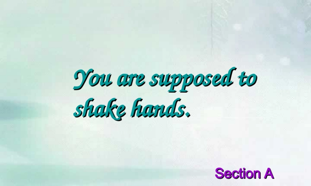 九年级英语Unit12 SectionA课件 人教新目标版 课件