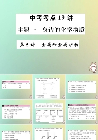 中考化学复习 主题一 身边的化学物质 第5讲 金属和金属矿物课件