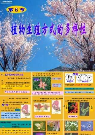 七年级科学下册 3.6植物生殖方式的多样性课件 浙教版 课件