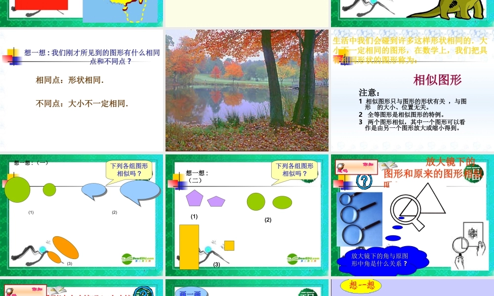 九年级数学上册 §241 相似的图形(1)课件 华师大版 课件