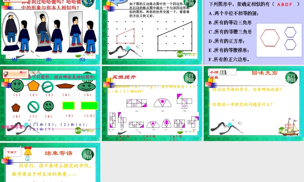 九年级数学上册 §241 相似的图形(1)课件 华师大版 课件