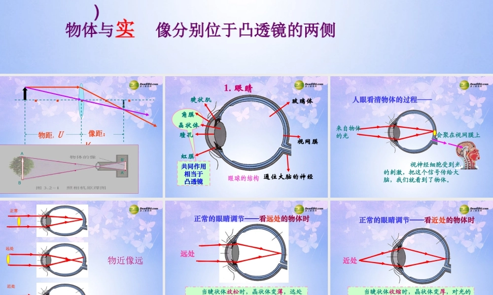 八年级物理上册 5.4 眼睛和眼镜课件 新人教版 课件