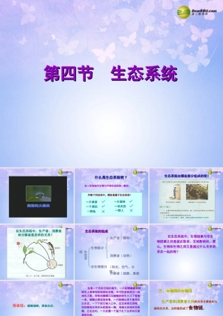 中学七年级生物上册 1.2.4 生态系统课件7 新人教版 课件