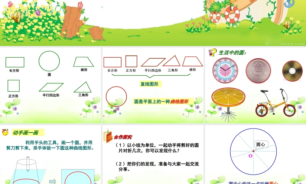 上册数学圆的认识