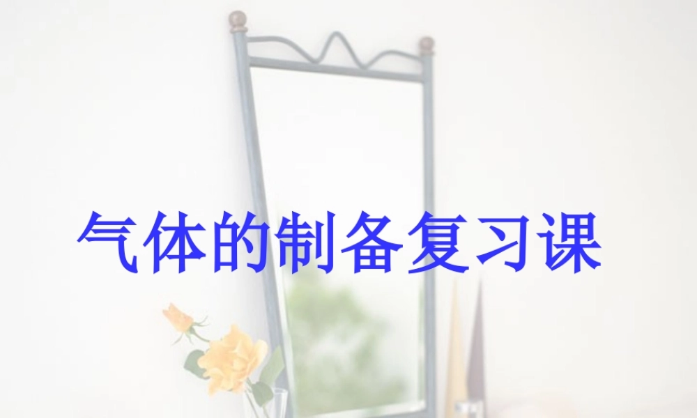 初三化学气体制备复习课 新课标 课件