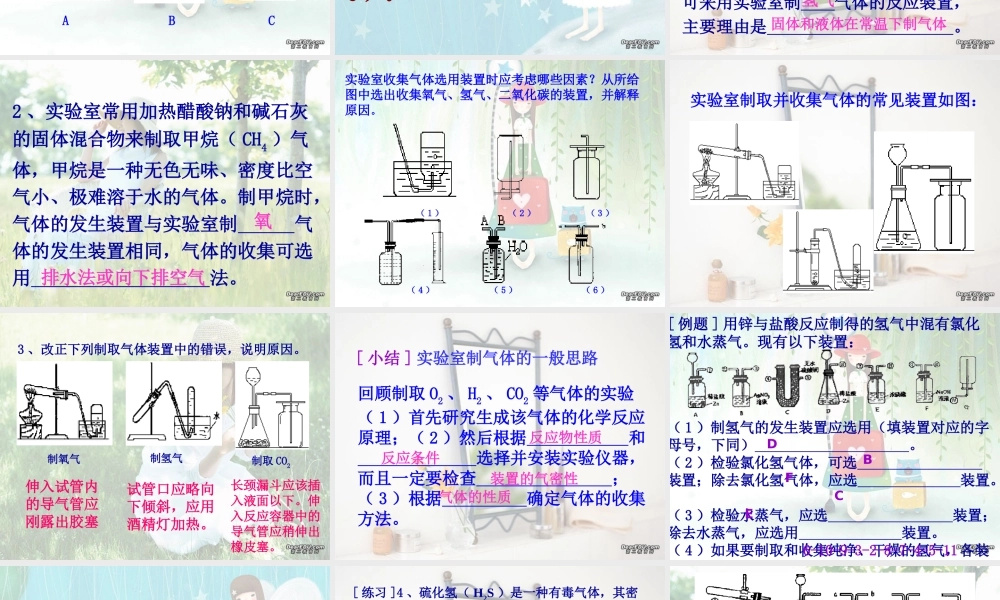初三化学气体制备复习课 新课标 课件
