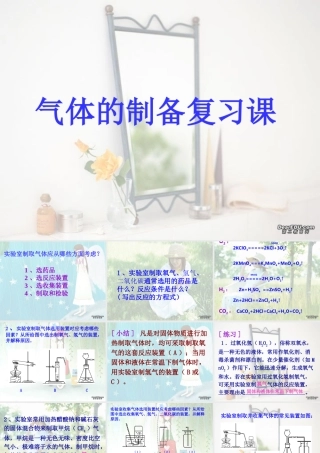 初三化学气体制备复习课 新课标 课件
