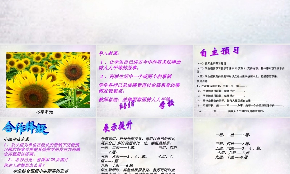 八年级政治下册 7.2 适用法律一视同仁课件1 北师大版 课件