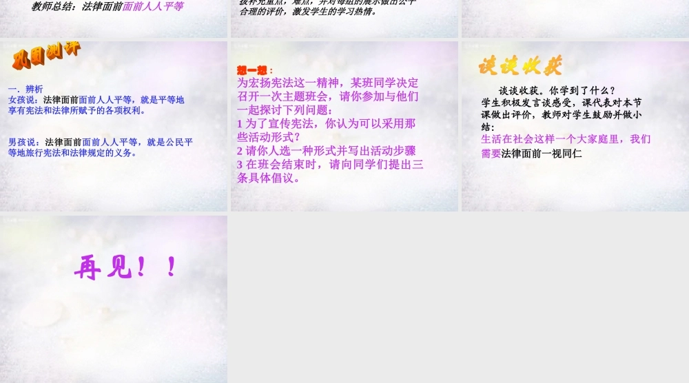 八年级政治下册 7.2 适用法律一视同仁课件1 北师大版 课件
