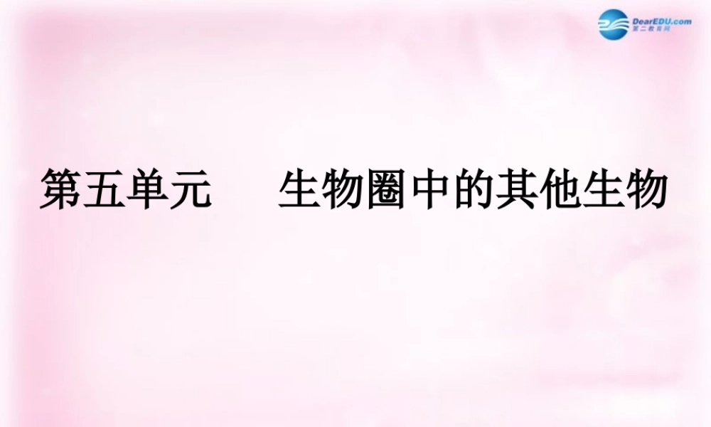 八年级生物上册 第五单元 生物圈中的其他生物复习课件 新人教版 课件