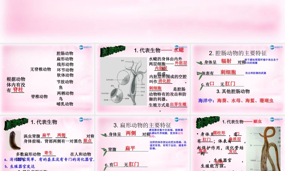 八年级生物上册 第五单元 生物圈中的其他生物复习课件 新人教版 课件