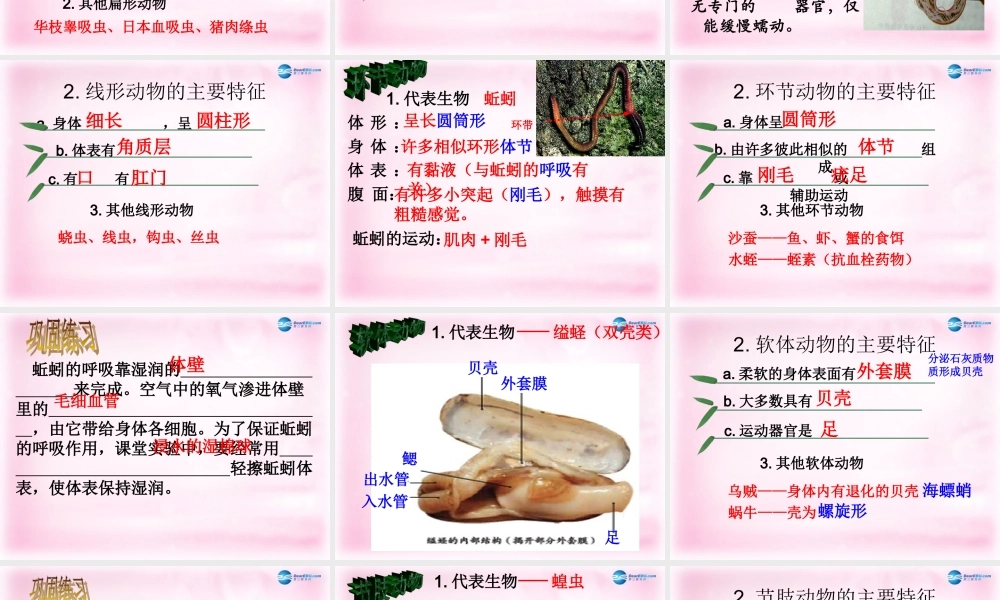 八年级生物上册 第五单元 生物圈中的其他生物复习课件 新人教版 课件