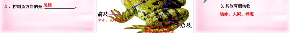 八年级生物上册 第五单元 生物圈中的其他生物复习课件 新人教版 课件