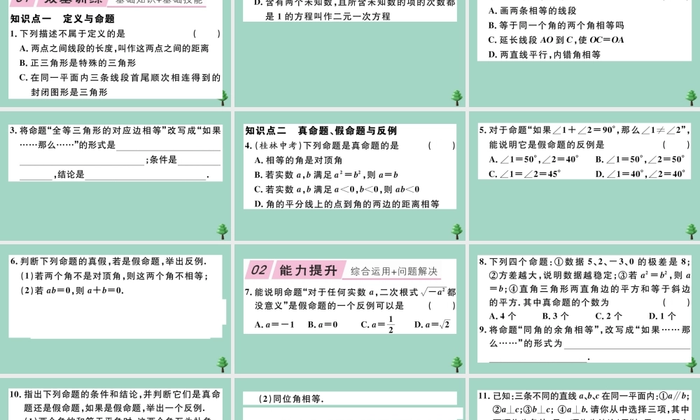 八年级数学上册 第七章(平行线的证明)7.2 定义与命题 第1课时 定义与命题作业课件 (新版)北师大版 课件