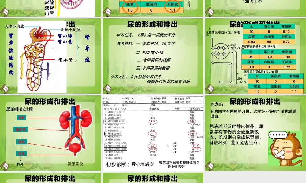 尿的形成和排出课件
