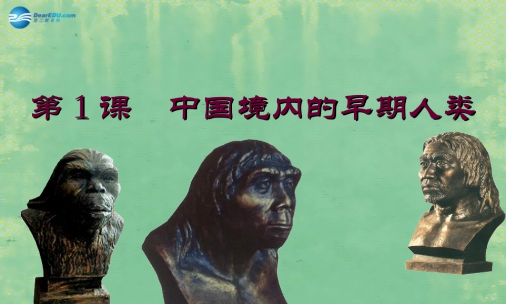 中学七年级历史上册 第1课 中国境内的早期人类课件 (新版)新人教版 课件