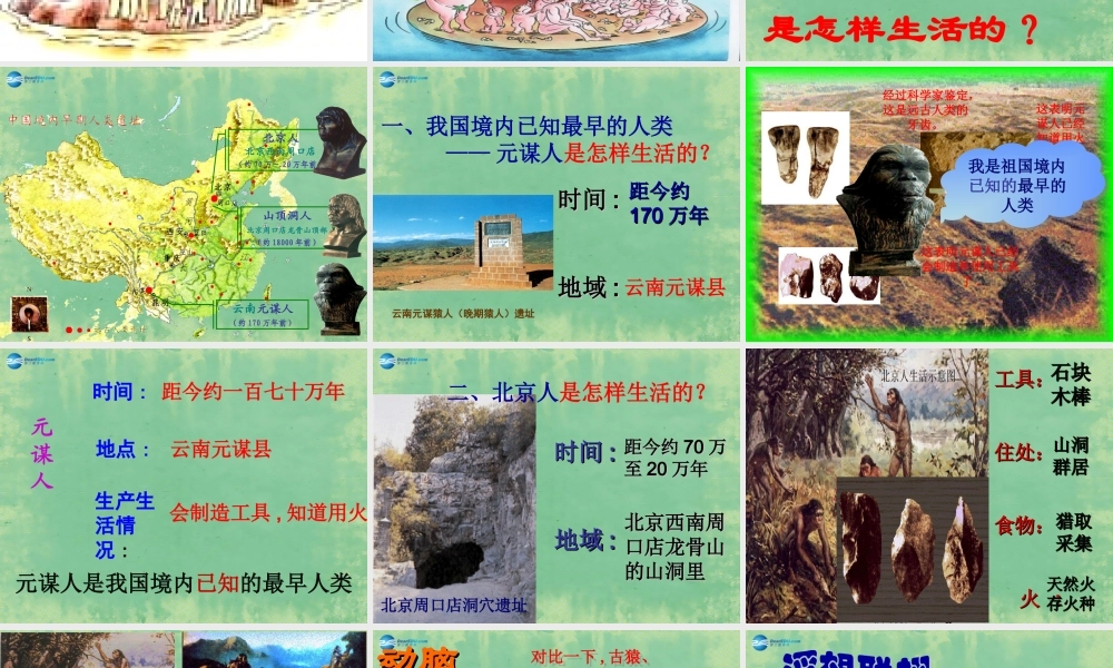 中学七年级历史上册 第1课 中国境内的早期人类课件 (新版)新人教版 课件