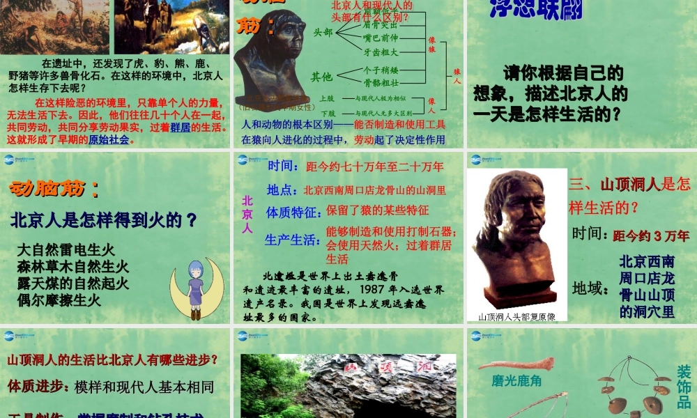 中学七年级历史上册 第1课 中国境内的早期人类课件 (新版)新人教版 课件