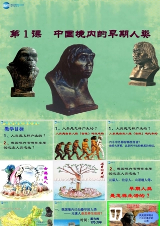 中学七年级历史上册 第1课 中国境内的早期人类课件 (新版)新人教版 课件
