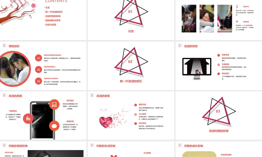 那一次我流泪了点评课件