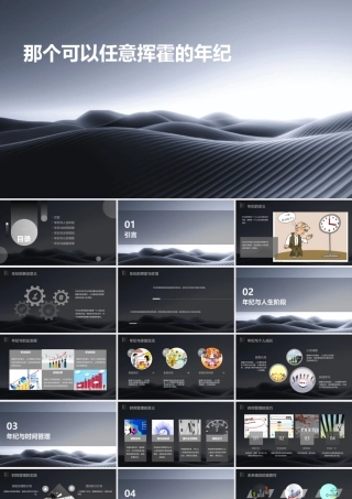 那个可以任意挥霍的年纪课件