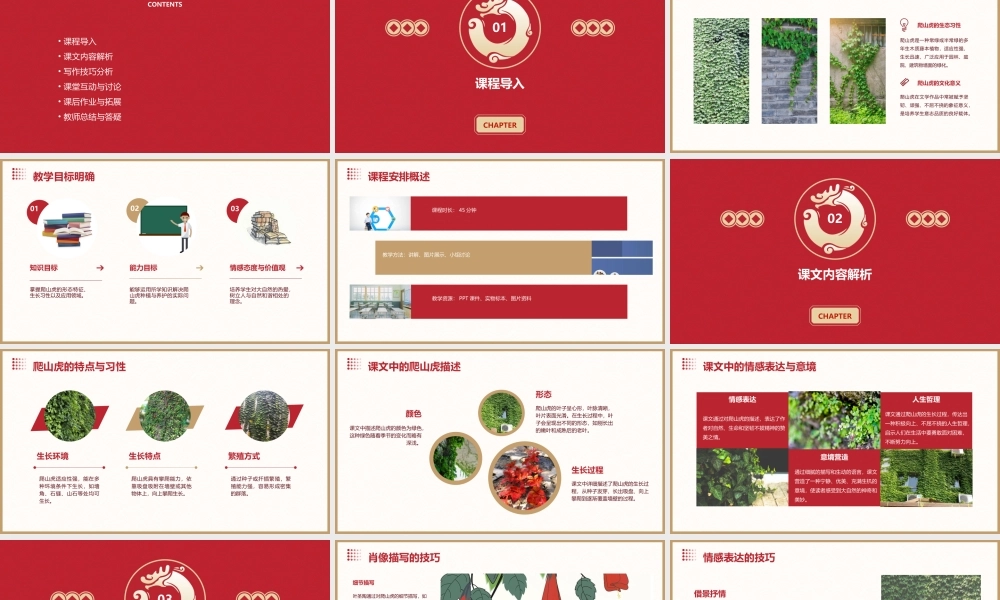 那片绿绿的爬山虎(完美版)教学课件