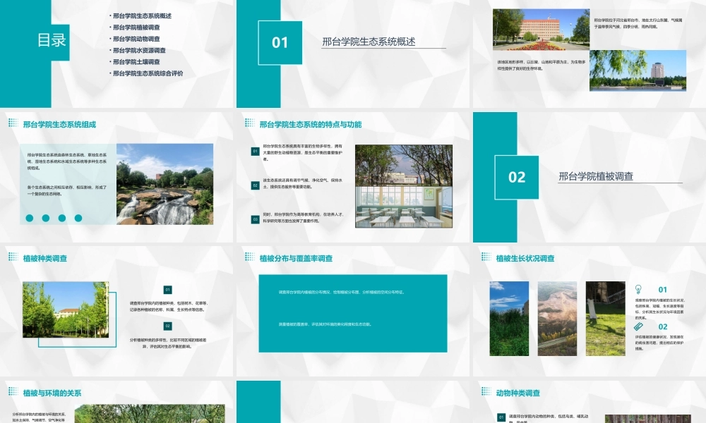 邢台学院生态系统调查课件