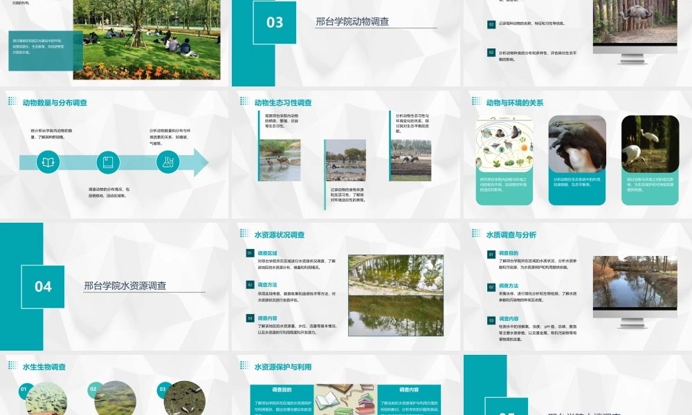 邢台学院生态系统调查课件