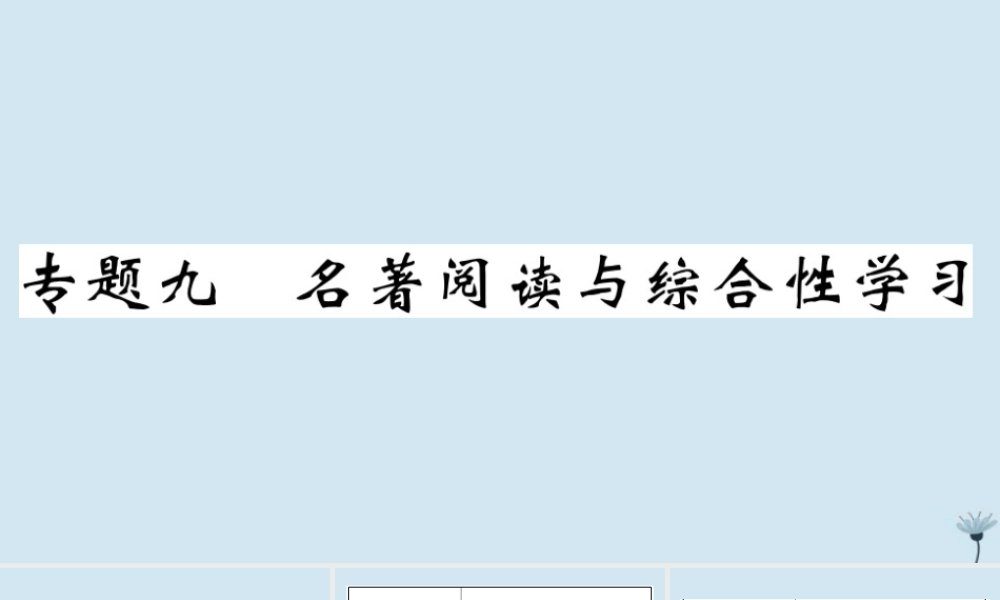 九年级语文上册 专题九 名著阅读与综合性学习作业课件 新人教版 课件