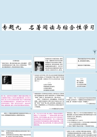 九年级语文上册 专题九 名著阅读与综合性学习作业课件 新人教版 课件