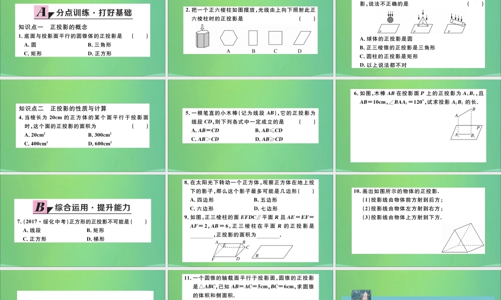 九年级数学下册 第29章 投影与视图 291 投影 第2课时 正投影习题讲评课件 (新版)新人教版 课件