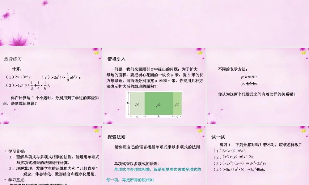 八年级数学上册 第30课时 整式乘法课件2 (新版)新人教版 课件