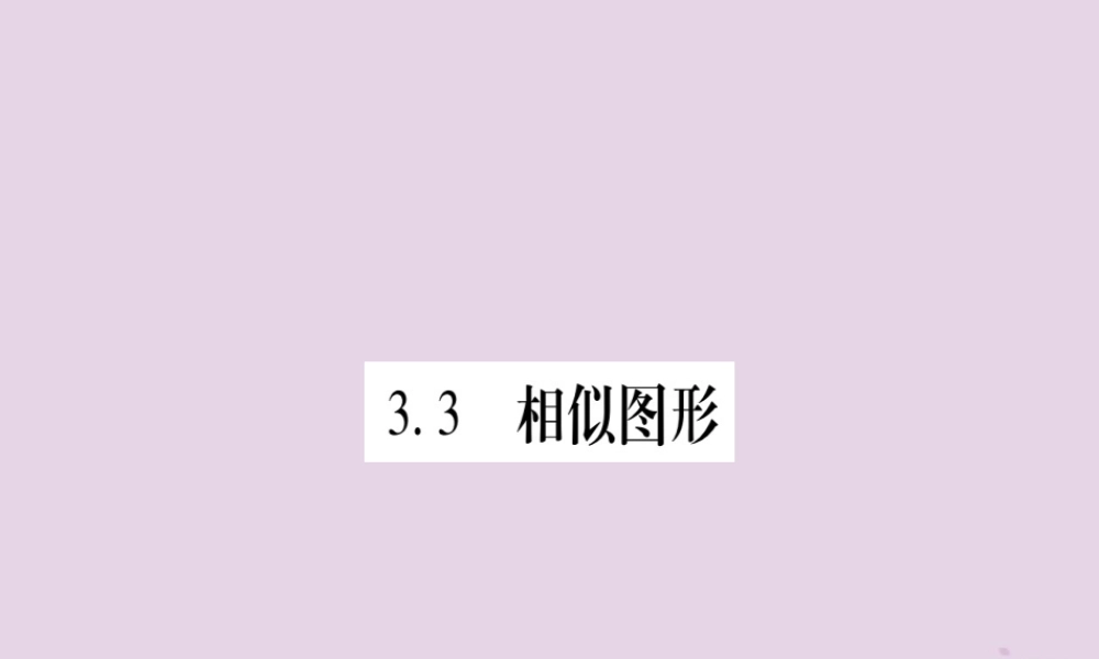 九年级数学上册 第3章 图形的相似 33 相似图形作业课件 (新版)湘教版 课件