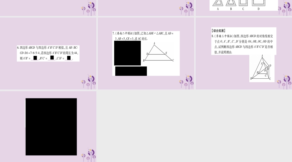 九年级数学上册 第3章 图形的相似 33 相似图形作业课件 (新版)湘教版 课件