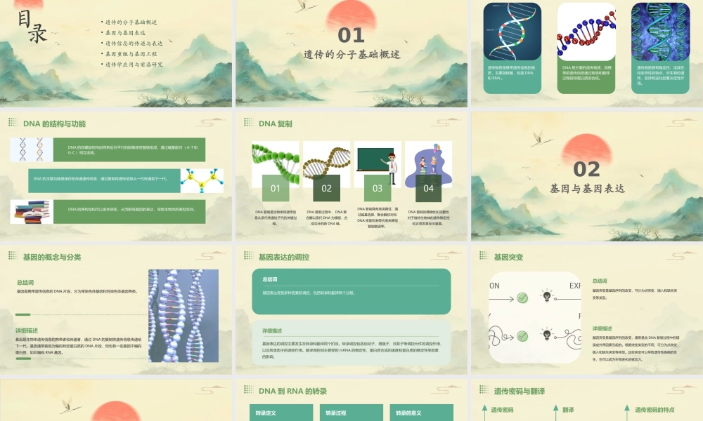 遗传的分子基础二轮复习课件