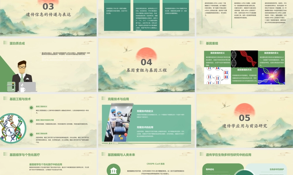 遗传的分子基础二轮复习课件