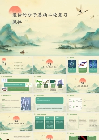 遗传的分子基础二轮复习课件