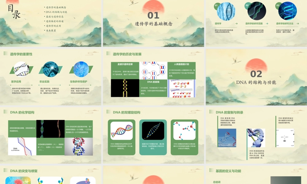 遗传的物质基础课件