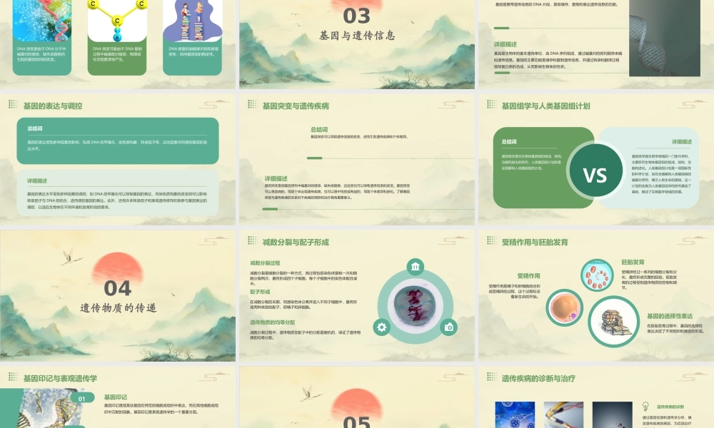 遗传的物质基础课件