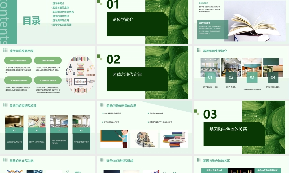 遗传的基本规律资料课件