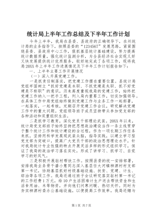 统计局上半年工作总结及下半年工作计划