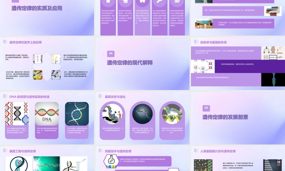 遗传的基本定律(精)课件