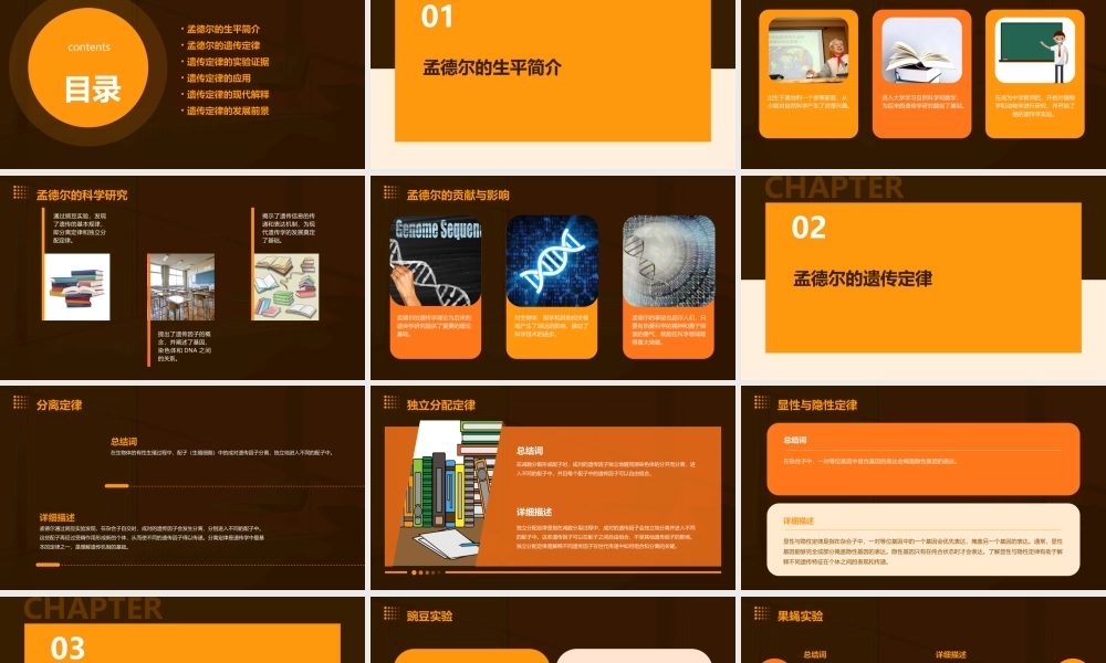 遗传的基本定律课件