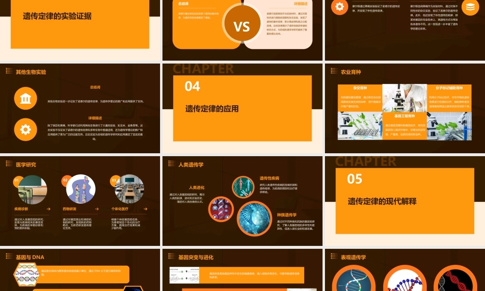 遗传的基本定律课件