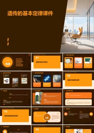 遗传的基本定律课件