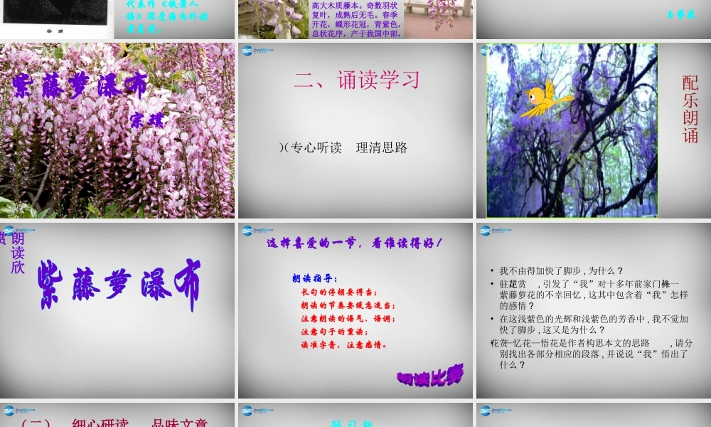 中学七年级语文上册 16 紫藤萝瀑布课件 (新版)新人教版